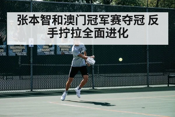 张本智和澳门冠军赛夺冠 反手拧拉全面进化